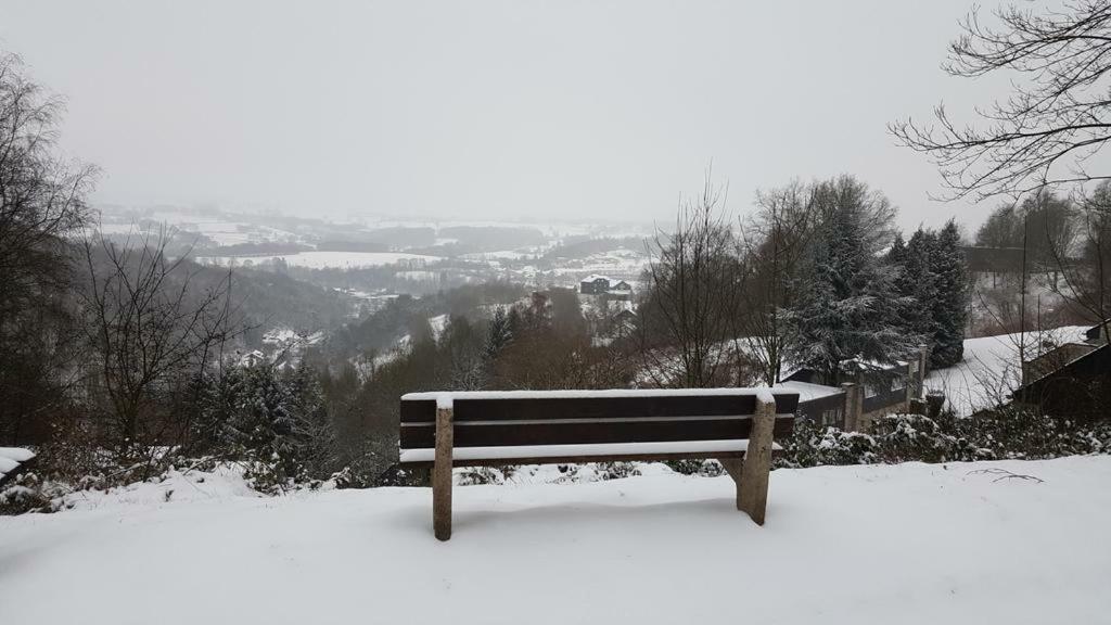 Terrasses De Malmedy - Duplex 455 Leilighet Eksteriør bilde
